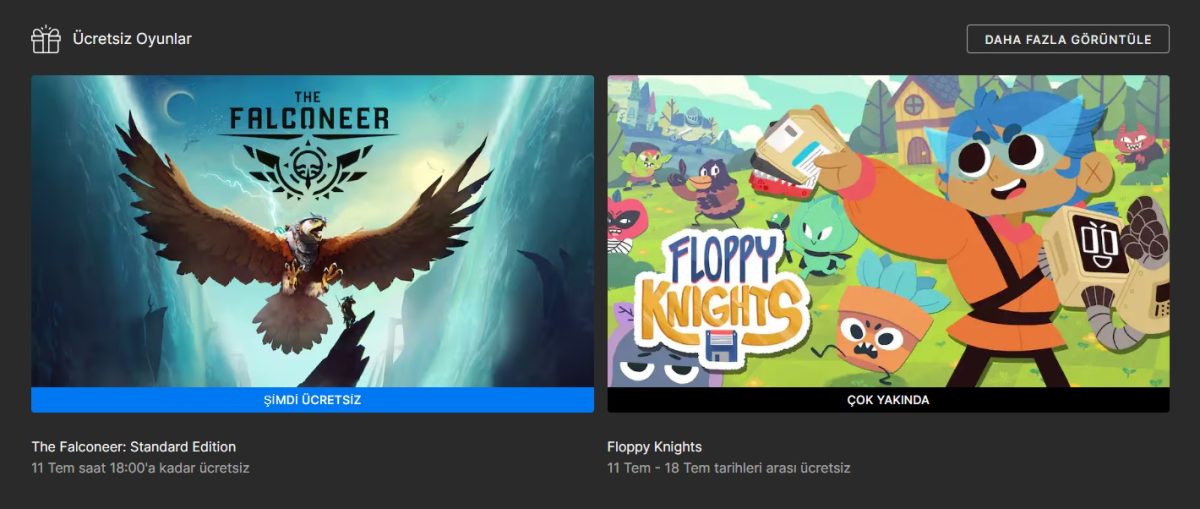 Ücretsiz Epic Games Store Oyunu: The Falconeer